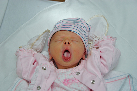 Anneliese (Day 3)