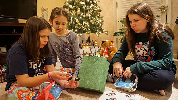 Pre-Christmas Family Gathering