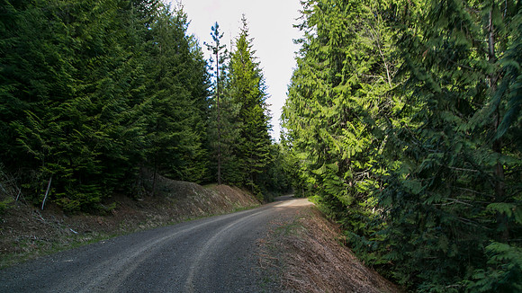 Sunday (04/26) - Clearwater National Forest
