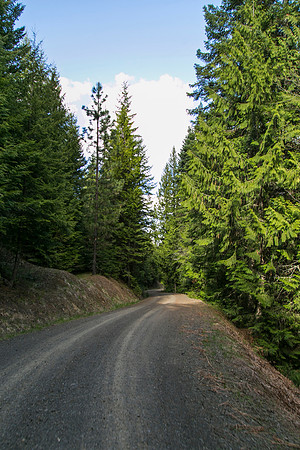 Sunday (04/26) - Clearwater National Forest