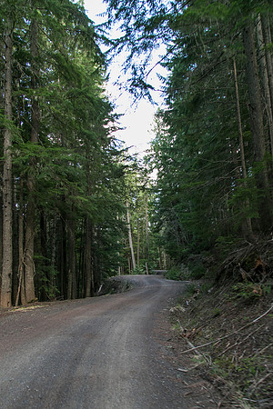 Sunday (04/26) - Clearwater National Forest