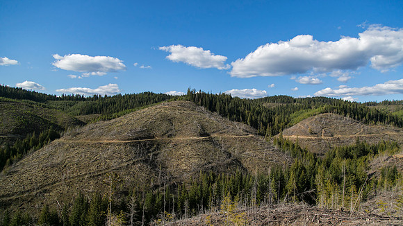 Sunday (04/26) - Clearwater National Forest