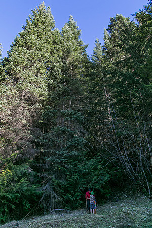 Sunday (04/26) - Clearwater National Forest