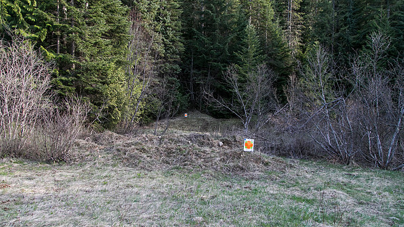 Sunday (04/26) - Clearwater National Forest