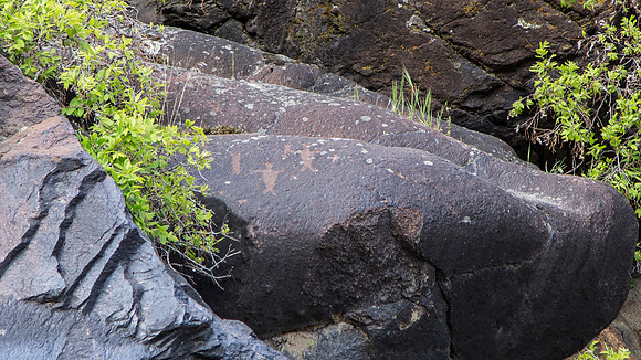 Wednesday (04/29) - Hells Canyon Jet Boat Tour of Snake River