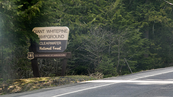 Sunday (04/26) - Clearwater National Forest