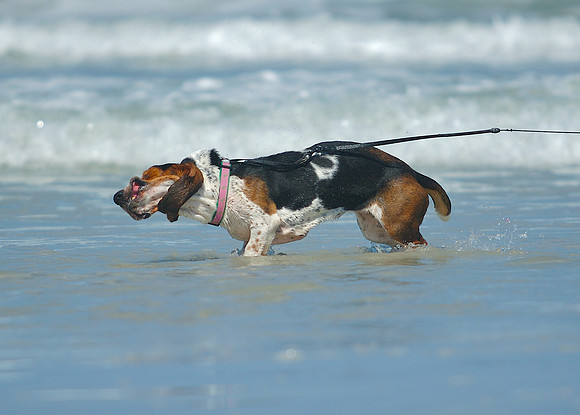 Friday - A day at the beach with old friends