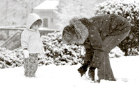 Snow Bunnies