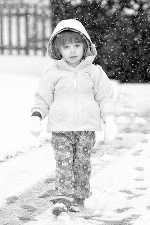IMG_2241