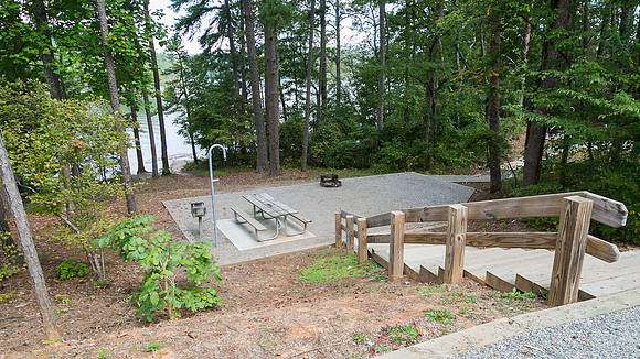 Camping at Shady Grove