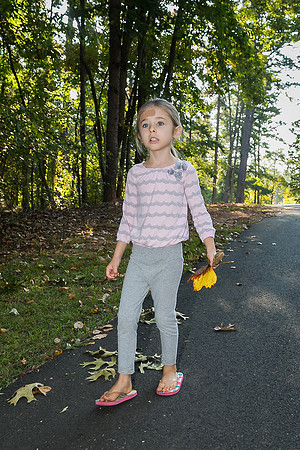 Camping at Shady Grove