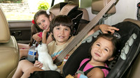 Vogel Camping Trip