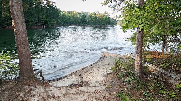 Camping at Shady Grove