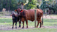 Visiting the Gallagher Farm