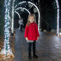 Stone Mountain Christmas