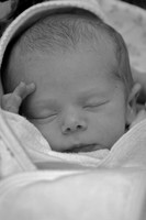 Anneliese (Day 17)