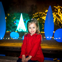 Atlanta Botanical Gardens
