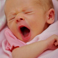 Anneliese (Day 11)