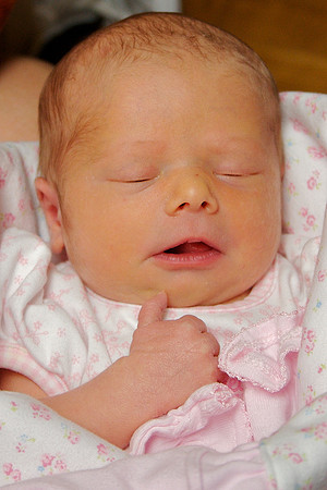 Anneliese (Day 5)