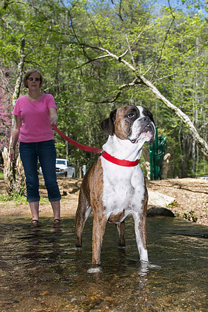 Vogel State Park - Saturday, Apr 26, 2014