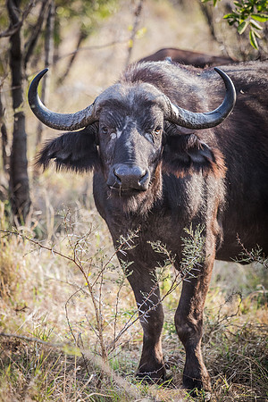 Saturday - Kruger National Park