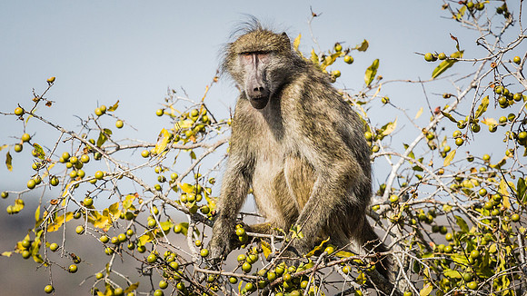 Saturday - Kruger National Park