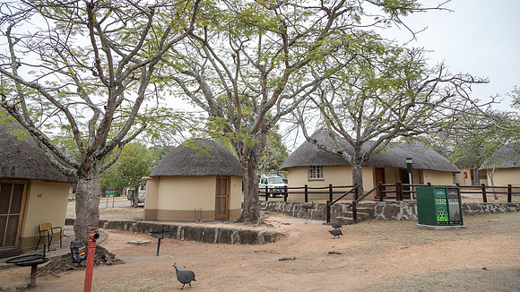 Sunday - Kruger National Park