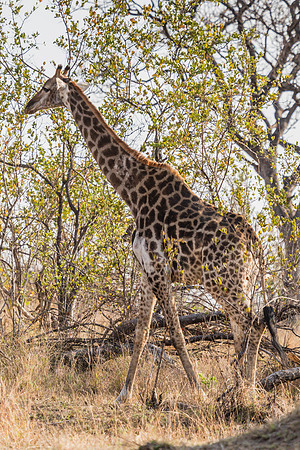 Saturday - Kruger National Park