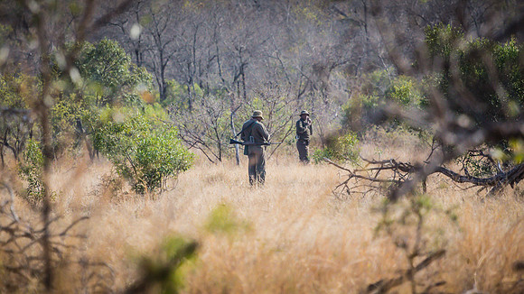 Saturday - Kruger National Park