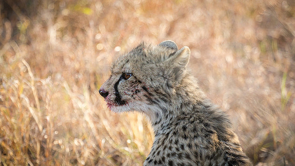 Saturday - Kruger National Park