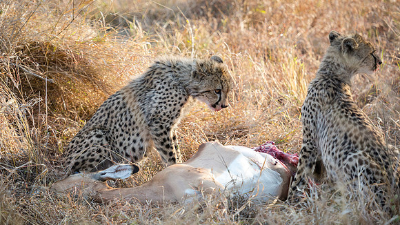 Saturday - Kruger National Park