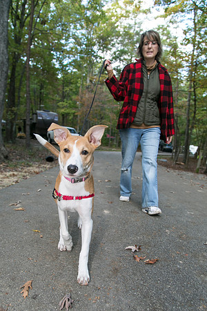 Cloudland Canyon State Park - Saturday, Oct 18, 2014