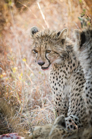 Saturday - Kruger National Park