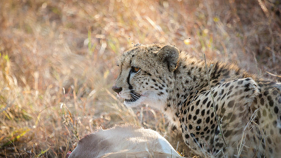 Saturday - Kruger National Park