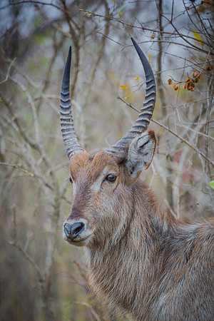 Sunday - Kruger National Park