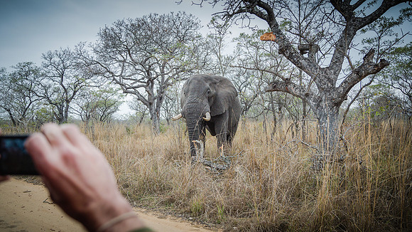 Sunday - Kruger National Park