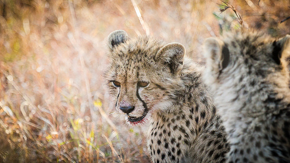 Saturday - Kruger National Park