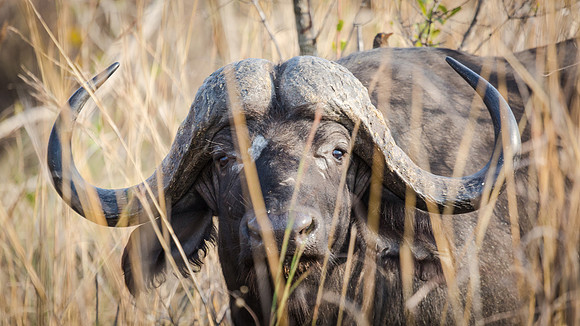 Saturday - Kruger National Park