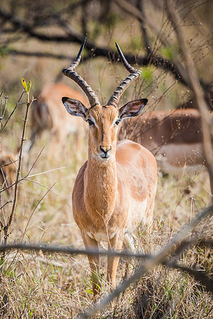 Saturday - Kruger National Park