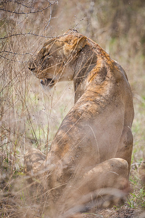 Saturday - Kruger National Park