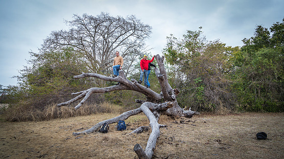 Sunday - Kruger National Park