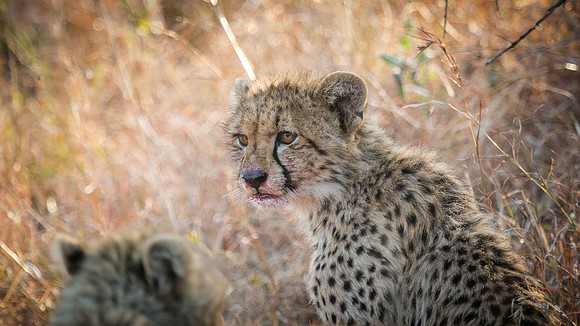 Saturday - Kruger National Park