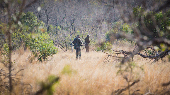 Saturday - Kruger National Park
