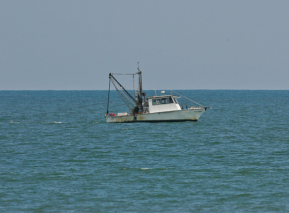 _X8J2990