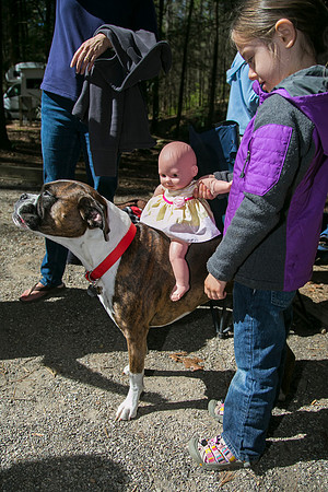 Vogel State Park - Saturday, Apr 26, 2014