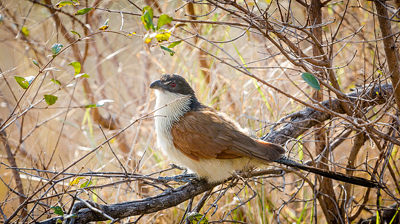 Saturday - Kruger National Park
