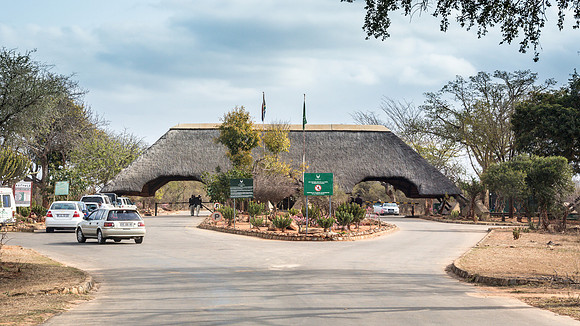 Friday - Kruger National Park