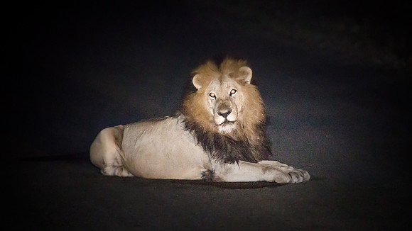 Sunday - Kruger National Park
