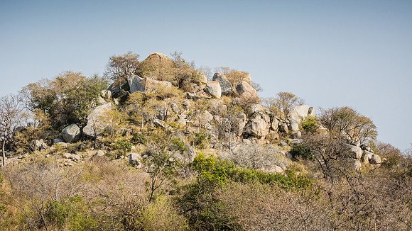Saturday - Kruger National Park