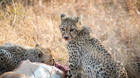 Saturday - Kruger National Park